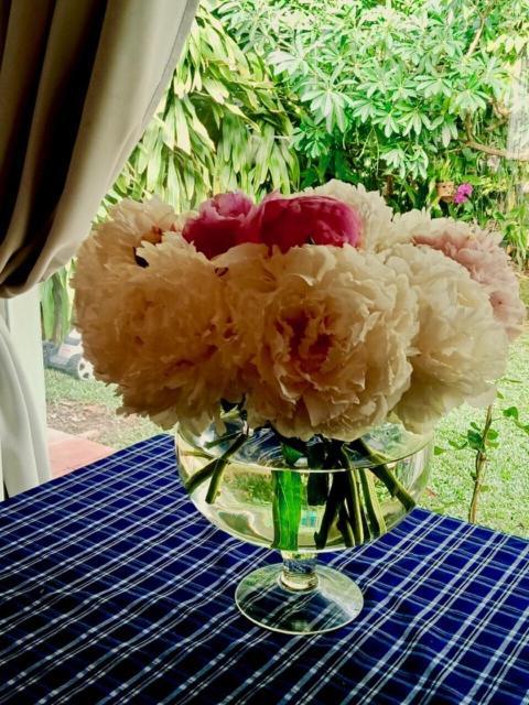 Bamboo Garden Resort Phu Quoc Luaran gambar